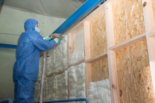 Best Cellulose Insulation  in Hudson, CO