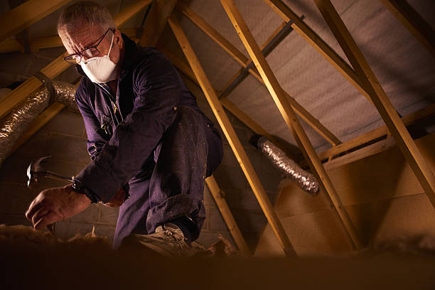 Best Insulation Repair Services  in Hudson, CO